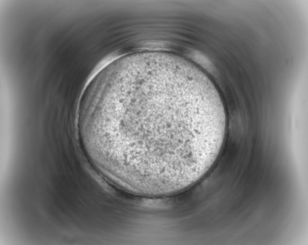 X0000086031378200704091124