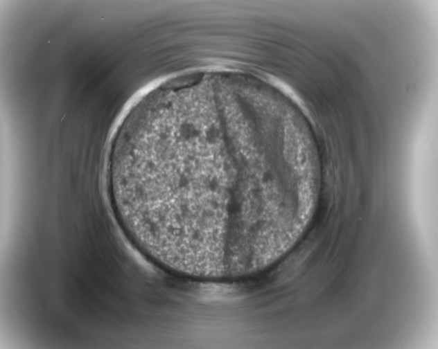 X0000086031379200704091124