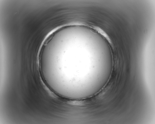 X0000086031380200704091124