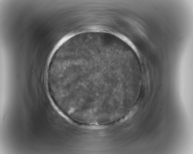 X0000086031381200704091124