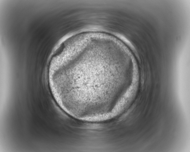 X0000086031382200704091124