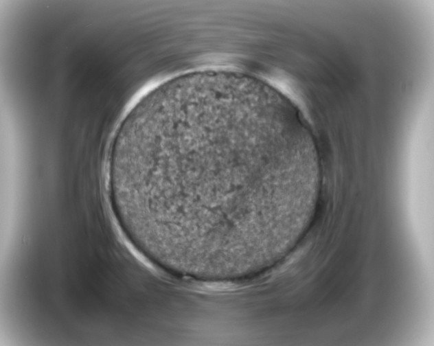 X0000086031383200704091124