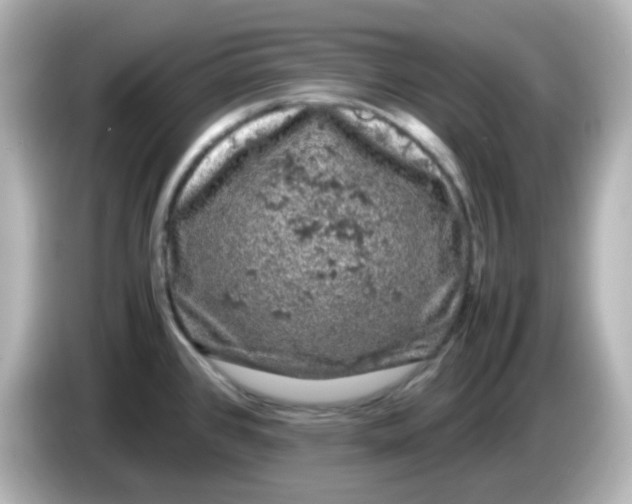 X0000086031384200704091124