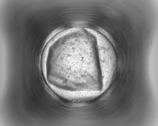 X0000086031386200704091124