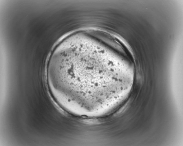 X0000086031388200704091124