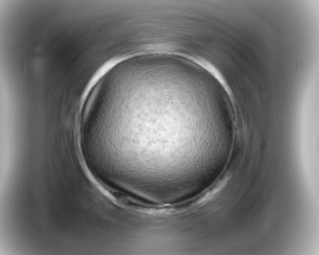 X0000086031389200704091124