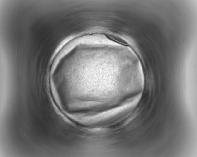 X0000086031390200704091124