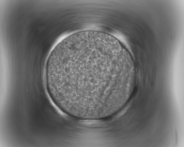 X0000086031391200704091124