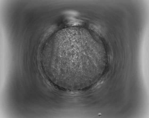 X0000086031393200704091124