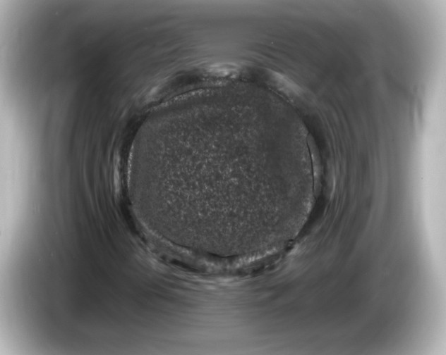 X0000086031394200704091124