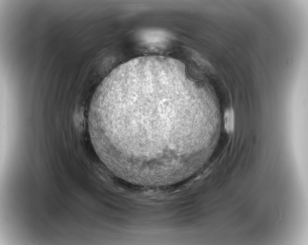 X0000086031395200704091124