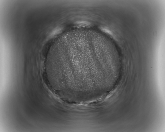 X0000086031399200704091124