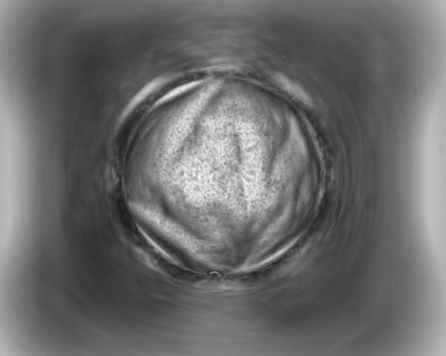 X0000086031400200704091124