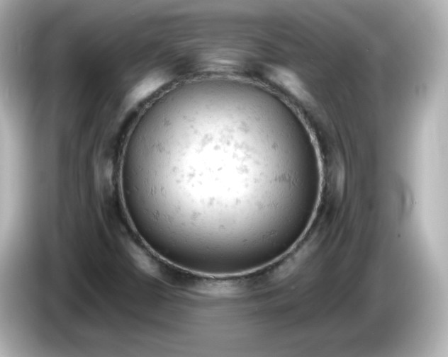 X0000086031402200704091124