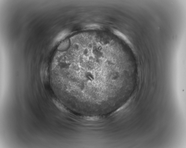 X0000086031403200704091124