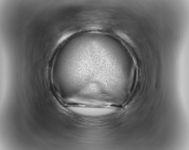 X0000086031404200704091124