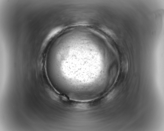 X0000086031406200704091124