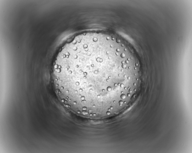 X0000086031407200704091124