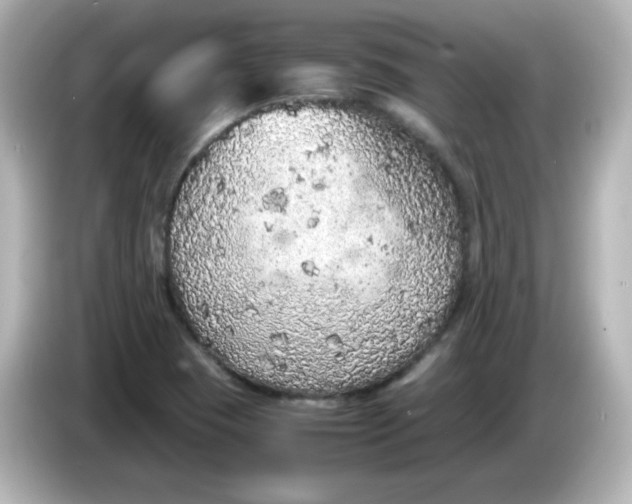 X0000086031409200704091124