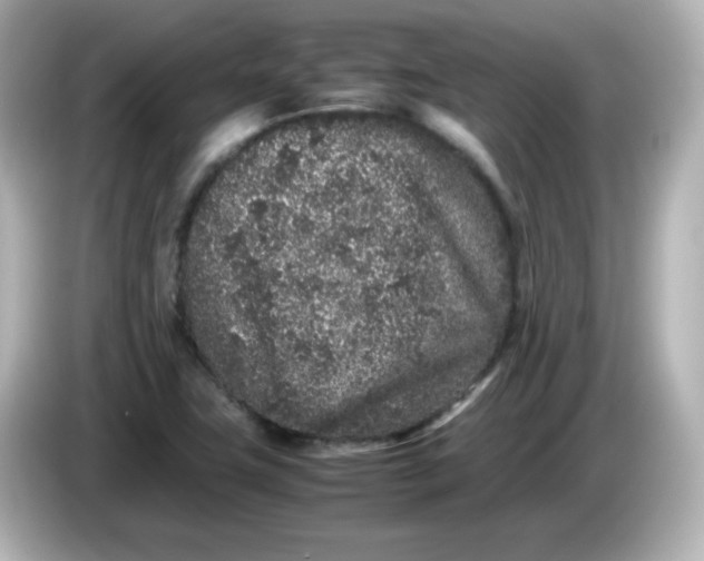 X0000086031411200704091124