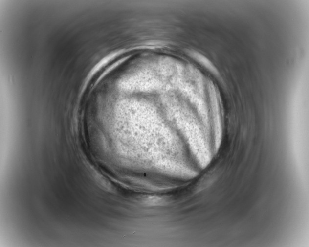 X0000086031412200704091124