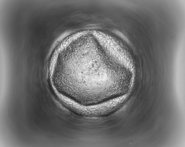 X0000086031413200704091124