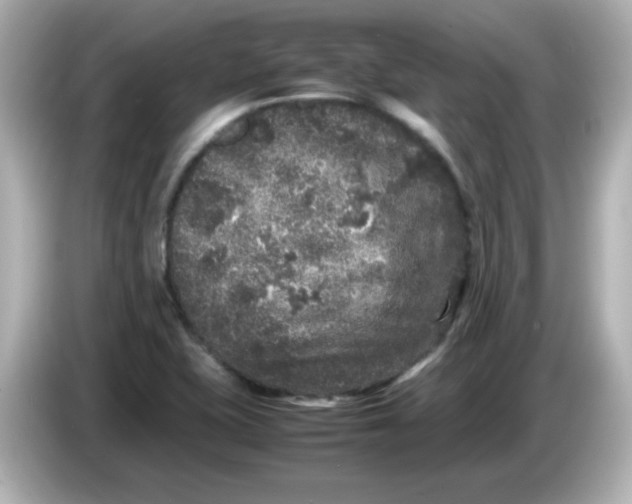 X0000086031415200704091124