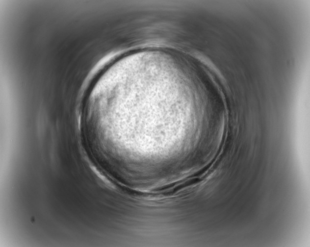 X0000086031416200704091124