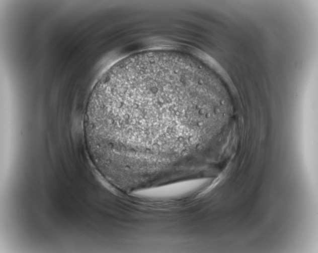 X0000086031417200704091124