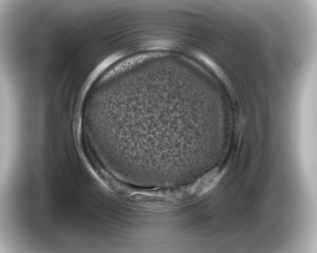 X0000086031418200704091124