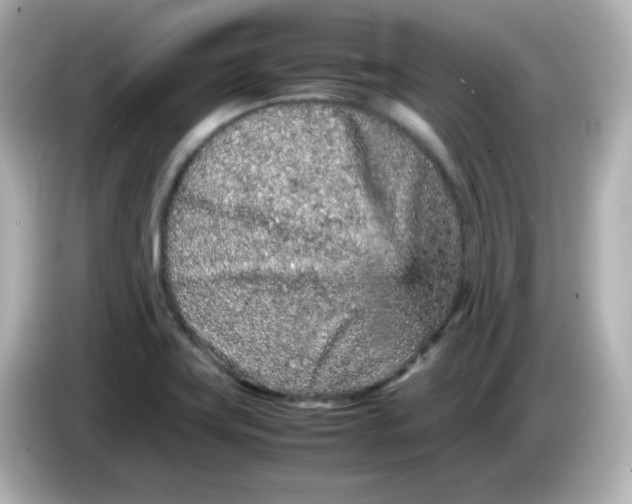 X0000086031419200704091124