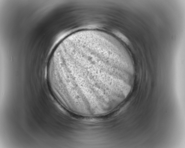 X0000086031420200704091124