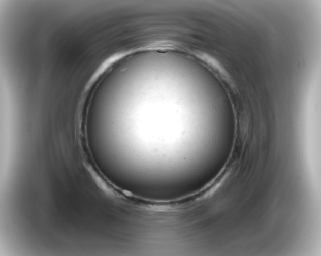 X0000086031422200704091124