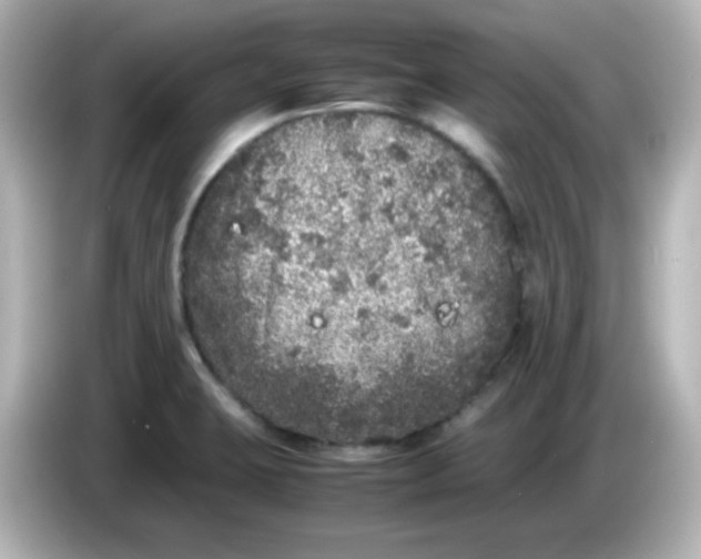 X0000086031423200704091124