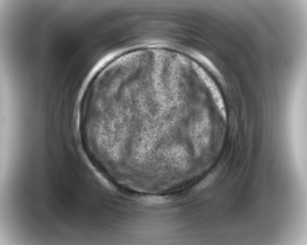 X0000086031424200704091124