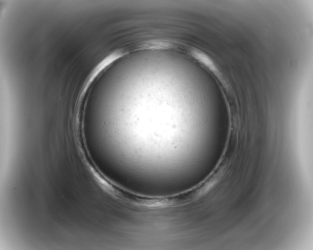 X0000086031426200704091124