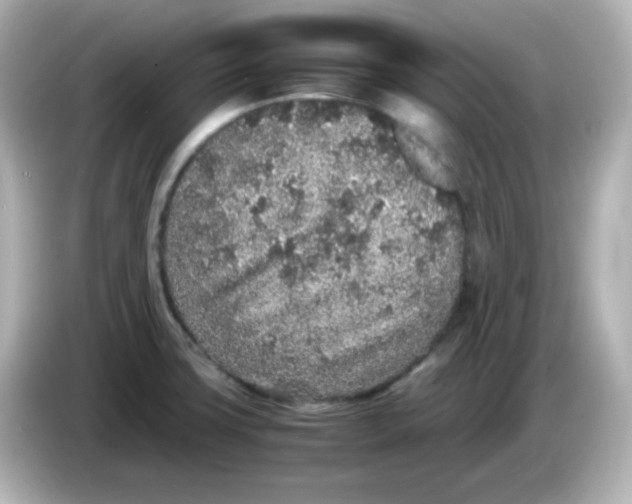 X0000086031427200704091124