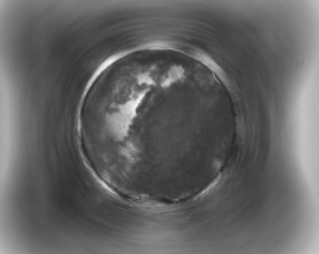 X0000086031428200704091124