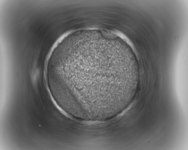 X0000086031429200704091124