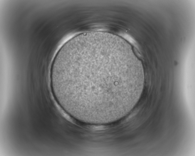 X0000086031431200704091124