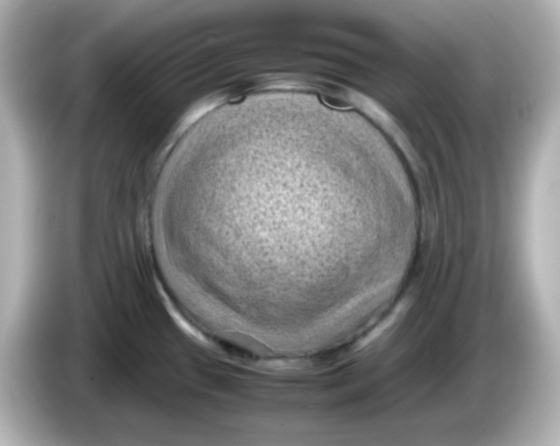 X0000086031433200704091124