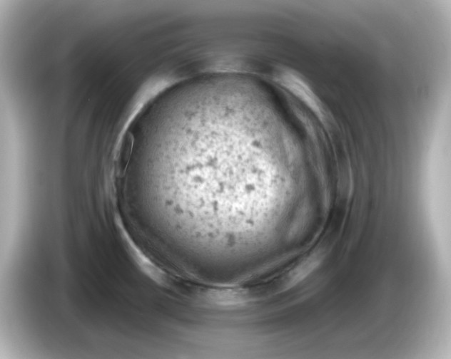 X0000086031434200704091124