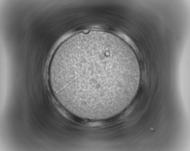 X0000086031435200704091124