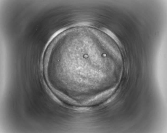 X0000086031436200704091124