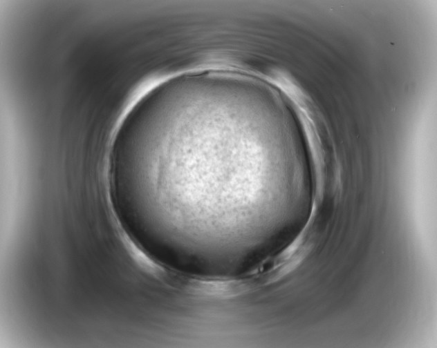 X0000086031438200704091124