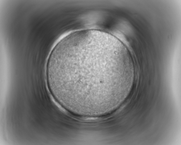 X0000086031439200704091124