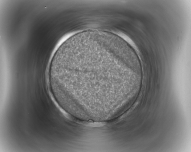 X0000086031440200704091124