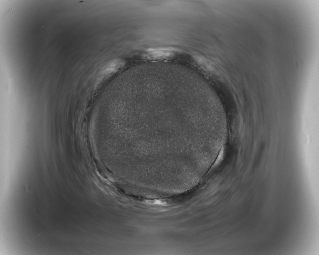 X0000086031441200704091124