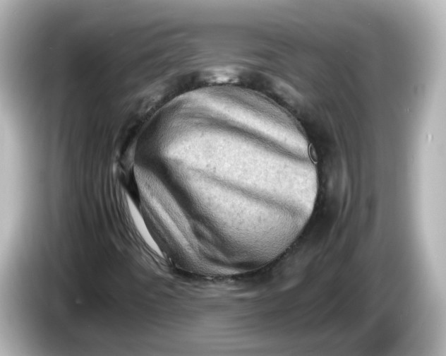 X0000086031442200704091123