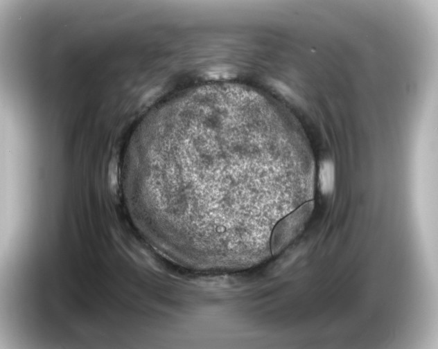 X0000086031444200704091123